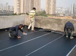 �����Ч�ؽ�Q���������ˮ